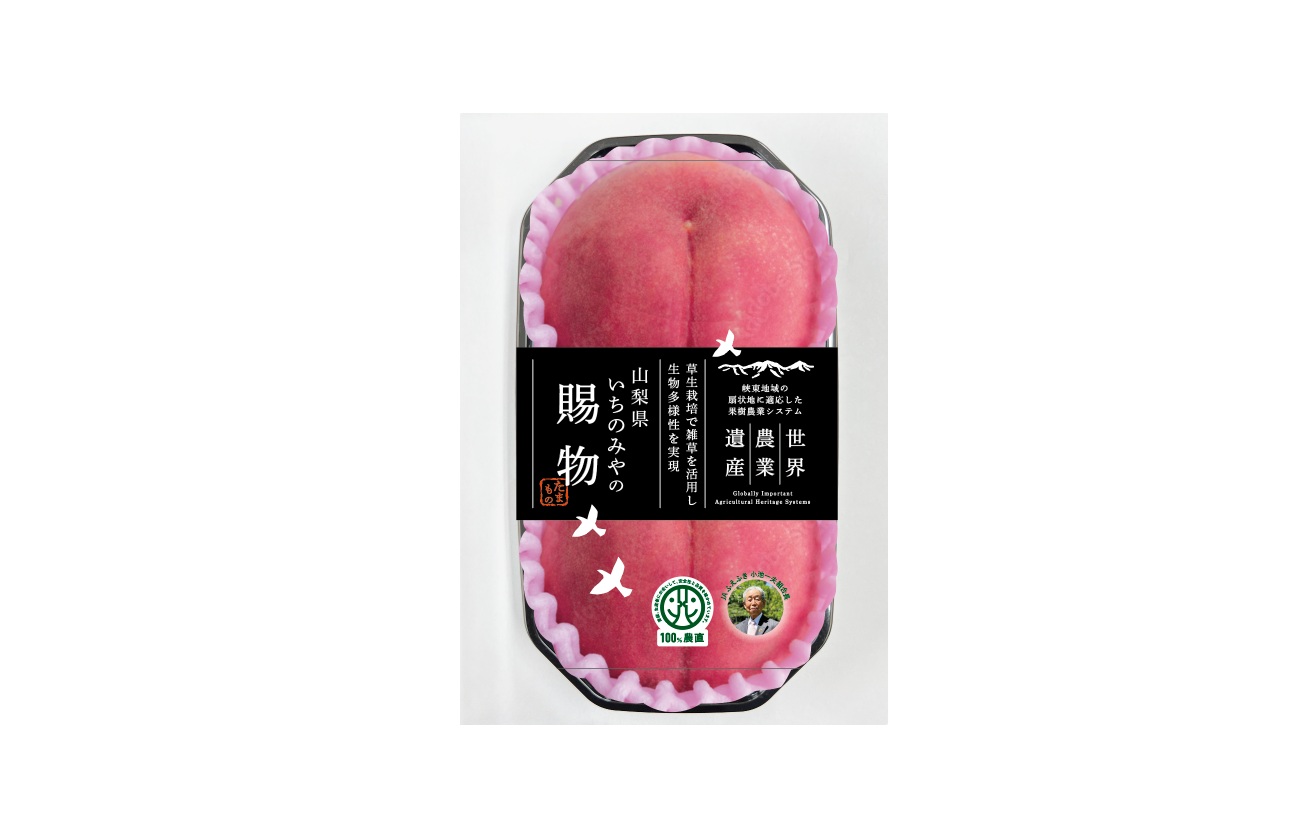 桃宮ページ 15058-65-